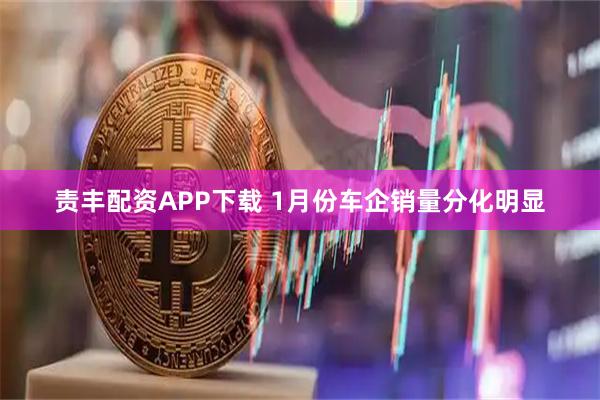 责丰配资APP下载 1月份车企销量分化明显